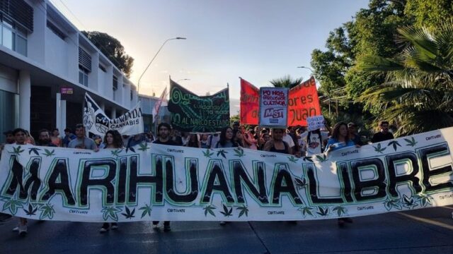 🧑‍🌾 Marcha nacional de la marihuana en San Juan
