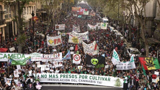 🟢 San Juan se suma a la Marcha Nacional por la Marihuana: convocan a movilizar por el cultivo libre y el acceso medicinal