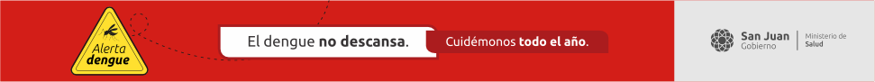 Campaña Dengue 2024