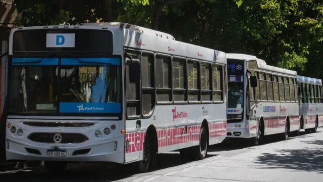 Investigan un presunto abuso a una menor en un colectivo de la Red Tulum