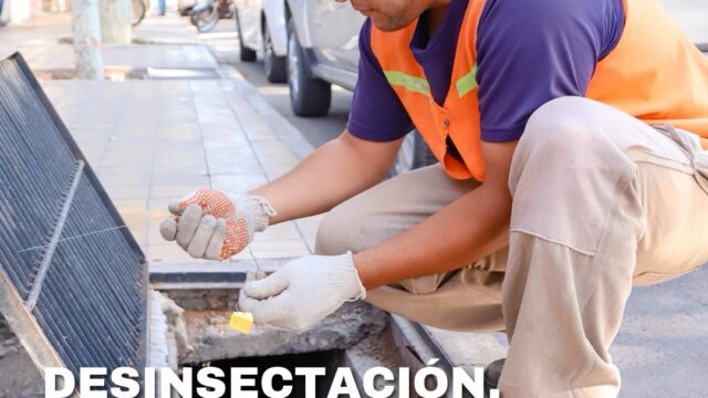 🧹 Operativo ambiental en Capital: desinsectación y desratización del 30 de marzo al 1 de abril