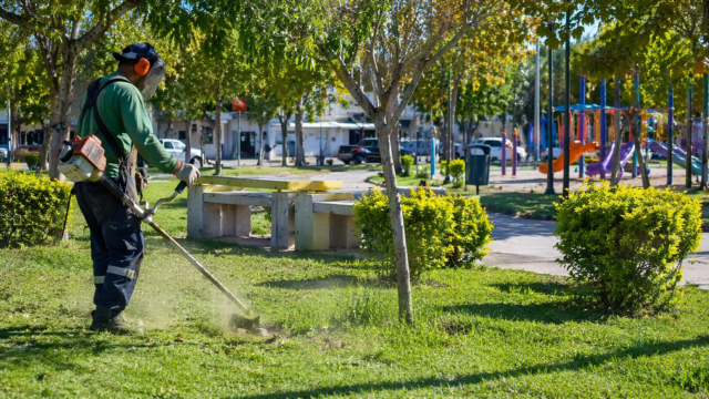 🌿 Capital intensifica la limpieza de plazas y espacios verdes en la zona norte