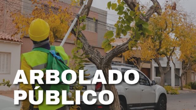 🌳 Capital avanza con un operativo de arbolado público del 27 de abril al 3 de mayo