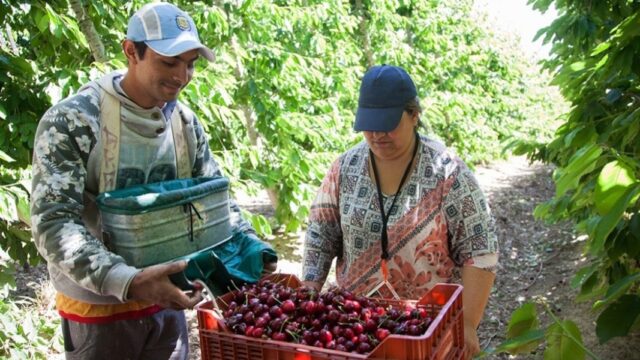 El RENATRE aumentó la Prestación por desempleo a partir de mayo