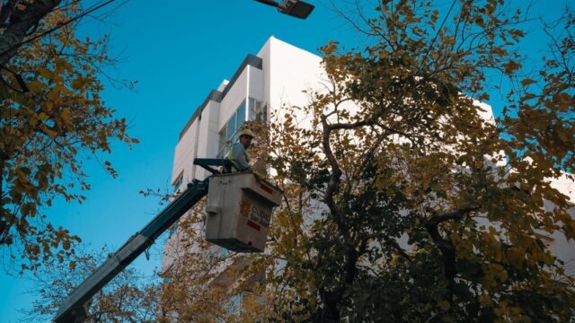Capital dio inicio al periodo de poda del arbolado público 2026