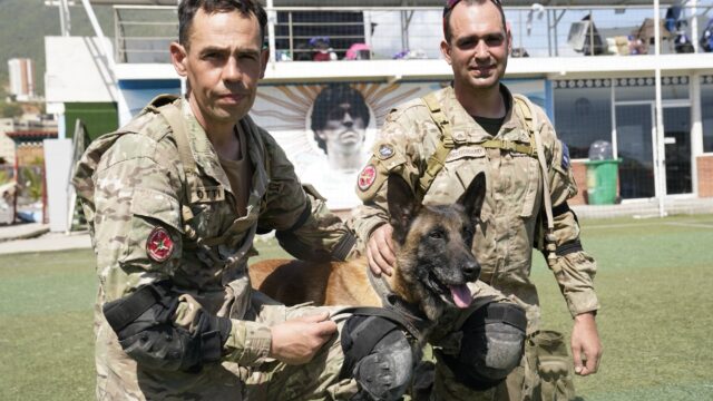 Bart, el perro argentino que ayudó a rescatar con vida a dos niños tras el terremoto en Venezuela