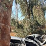 Dos jóvenes murieron en un choque en Ruta 20, Caucete