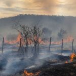 Incendio arrasó tres hectáreas en Jáchal y detuvieron a tres hombres