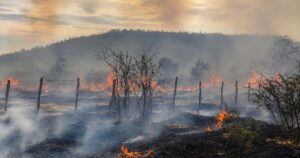 Incendio arrasó tres hectáreas en Jáchal y detuvieron a tres hombres
