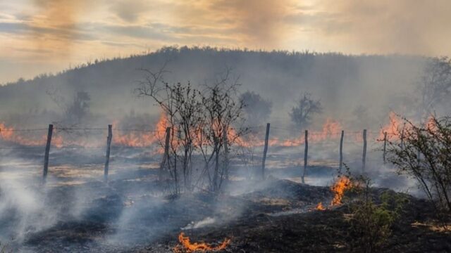 Incendio arrasó tres hectáreas en Jáchal y detuvieron a tres hombres