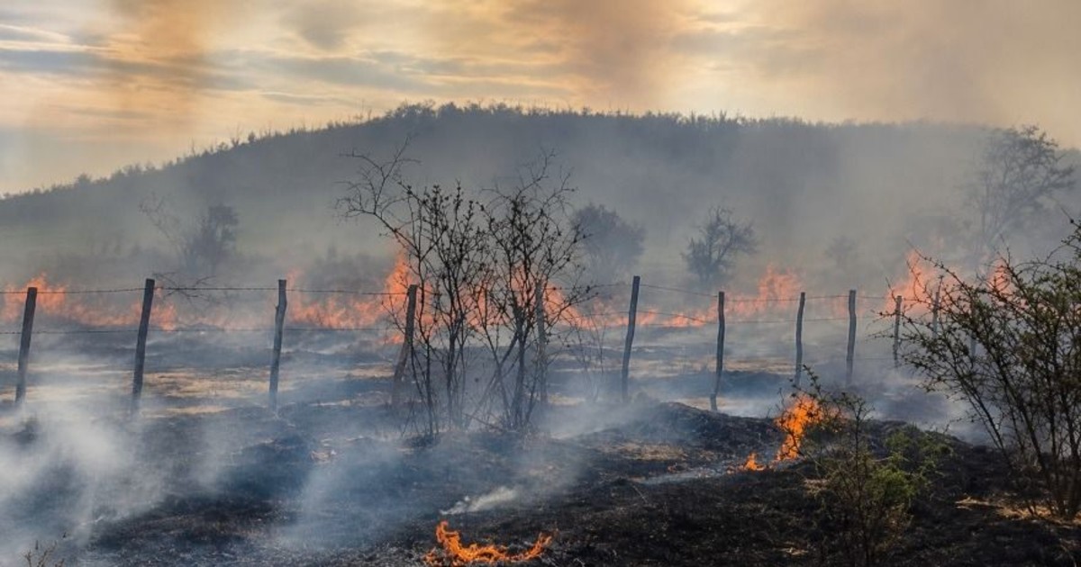 Incendio arrasó tres hectáreas en Jáchal y detuvieron a tres hombres