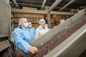 Orrego recorrió Frutandina, empresa exportadora de pasas en Albardón