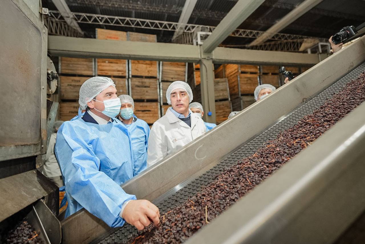 Orrego recorrió Frutandina, empresa exportadora de pasas en Albardón
