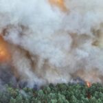 Un bombero voluntario confesó haber provocado un incendio forestal en Francia
