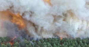 Un bombero voluntario confesó haber provocado un incendio forestal en Francia