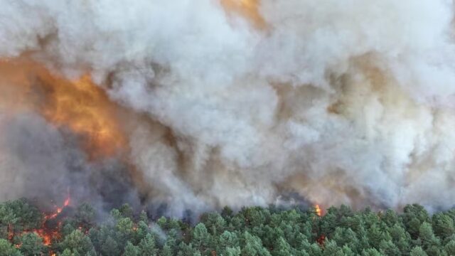 Un bombero voluntario confesó haber provocado un incendio forestal en Francia