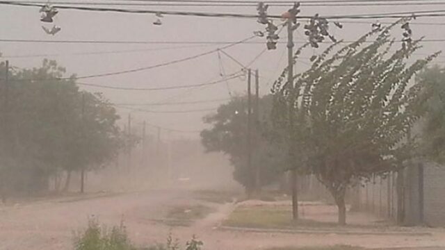 Alerta amarilla por viento en San Juan con ráfagas de hasta 100 km/h