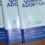 Convocatoria de adopción registra 46 postulantes