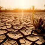 Extremos climáticos alertan a nivel mundial