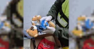 Gendarmería halló marihuana escondida en un oso de peluche