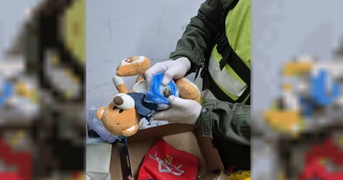 Gendarmería halló marihuana escondida en un oso de peluche