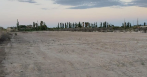 Geógrafos de la UNSJ alertan por el impacto territorial de la ley de propiedad privada