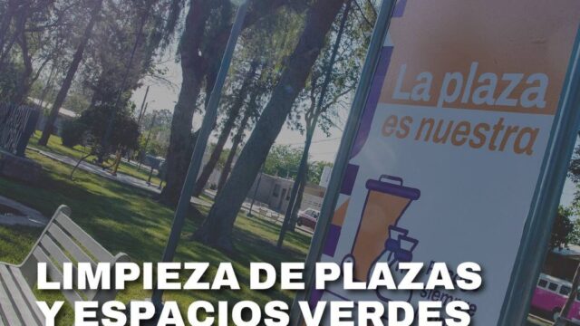 Municipalidad anuncia limpieza en plazas y espacios verdes del norte