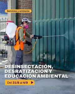 Municipio anuncia desinsectación y desratización para esta semana