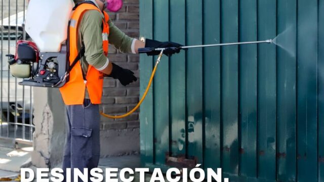 Municipio anuncia desinsectación y desratización para esta semana
