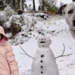Una nena de 3 años murió tras caer con el auto familiar al lago Nahuel Huapi