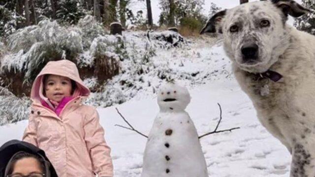 Una nena de 3 años murió tras caer con el auto familiar al lago Nahuel Huapi