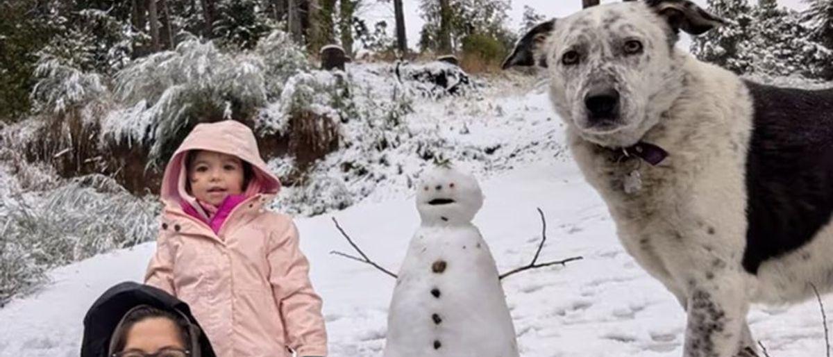 Una nena de 3 años murió tras caer con el auto familiar al lago Nahuel Huapi