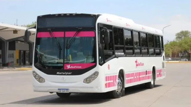 San Juan extiende hasta 2026 el pase gratuito de colectivo para personas con discapacidad