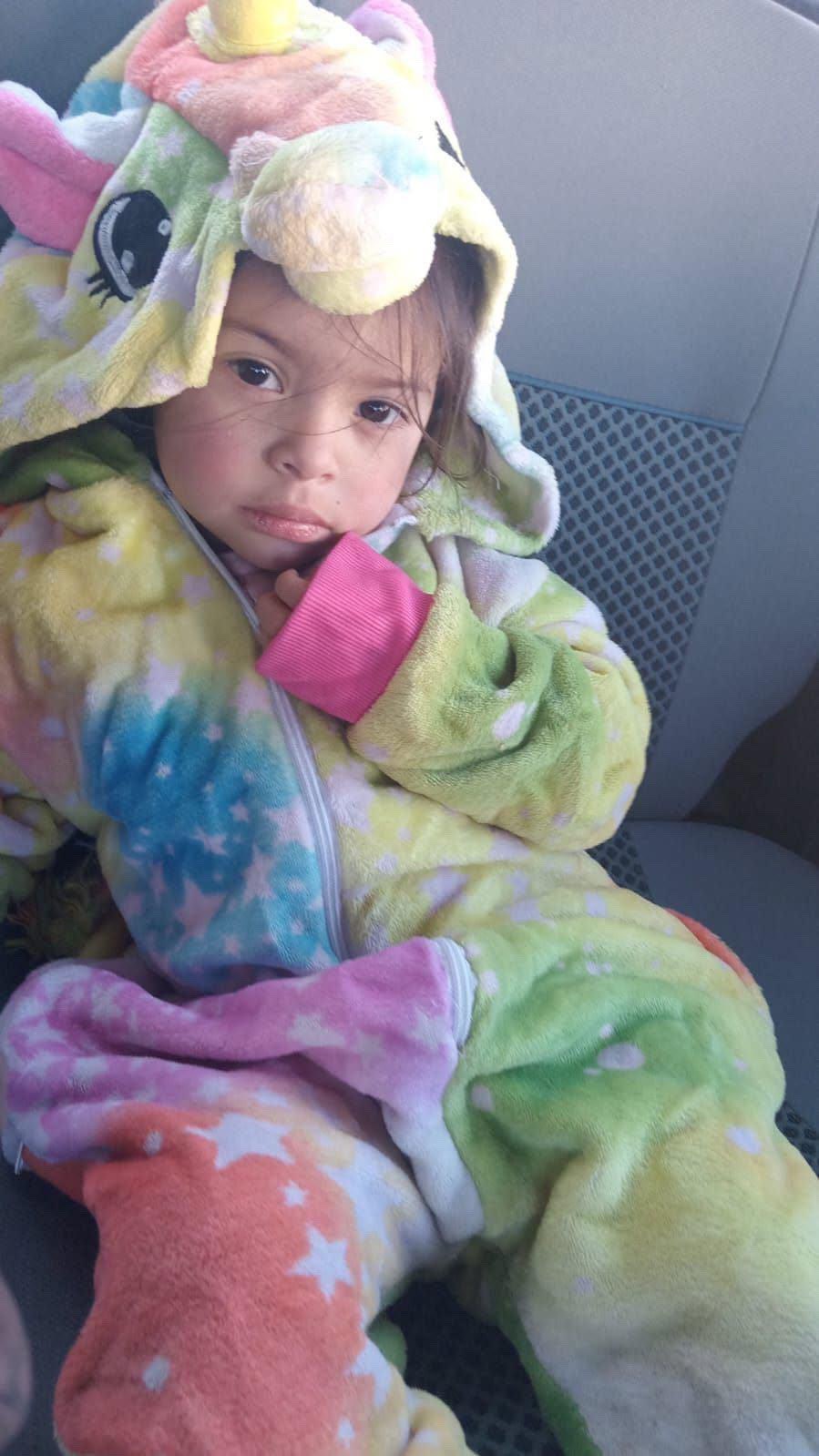 Activaron la Alerta Sofía por una niña de 3 años desaparecida en San Luis