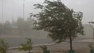 Alerta por viento sur en San Juan: qué departamentos serán afectados y cuáles podrían registrar las ráfagas más intensas