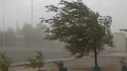 Alerta por viento sur en San Juan: qué departamentos serán afectados y cuáles podrían registrar las ráfagas más intensas