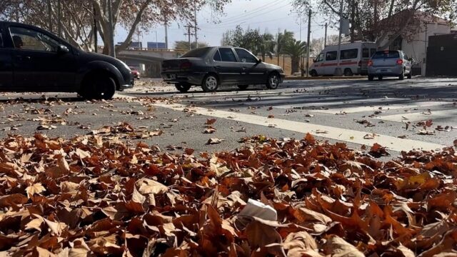 Zonda en San Juan: las clases comenzaron con normalidad y Educación monitorea la situación