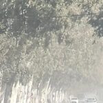 Alerta amarillo por viento Zonda en San Juan