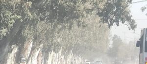 Alerta amarillo por viento Zonda en San Juan