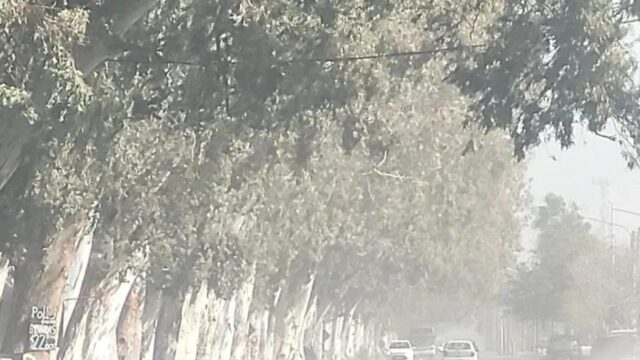 Alerta amarillo por viento Zonda en San Juan
