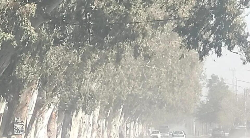 Alerta amarillo por viento Zonda en San Juan