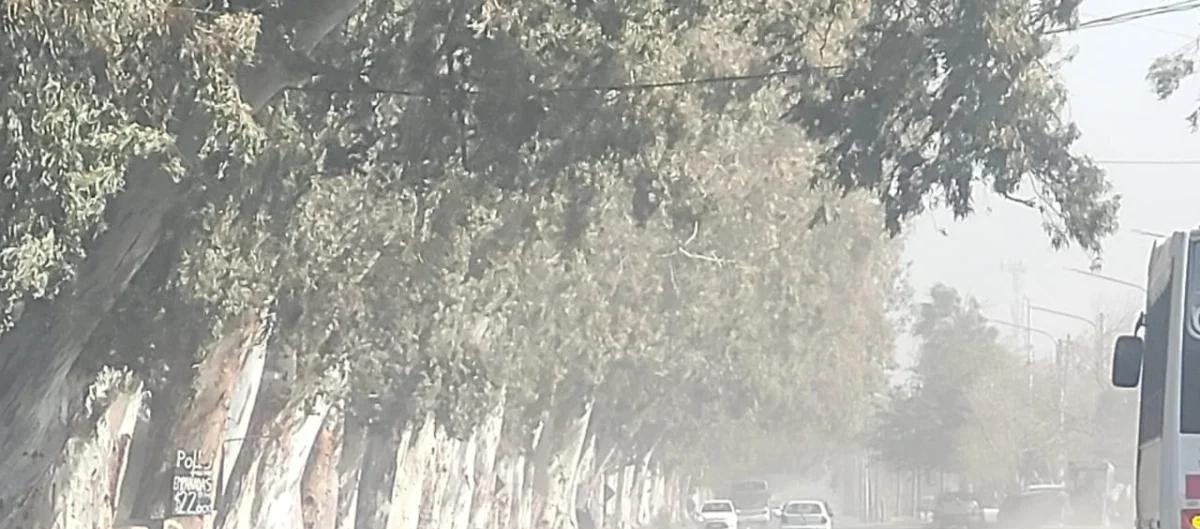 Alerta amarillo por viento Zonda en San Juan
