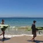 Brasil busca voluntarios internacionales para proyectos este verano