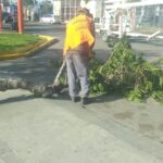 Chimbas: Intenso operativo por daños del viento Zonda