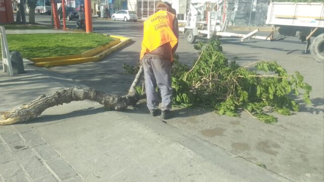 Chimbas: Intenso operativo por daños del viento Zonda
