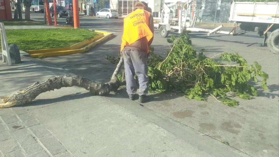 Chimbas: Intenso operativo por daños del viento Zonda