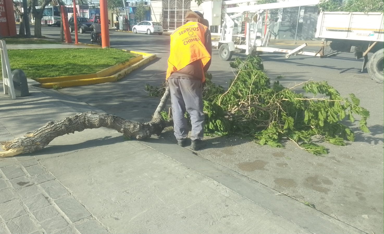 Chimbas: Intenso operativo por daños del viento Zonda