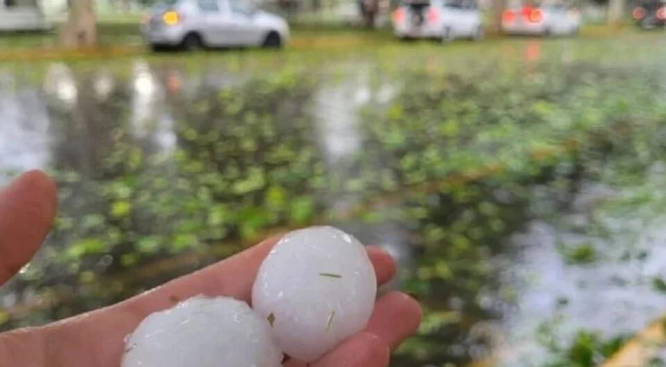 El Niño se espera muy fuerte este año