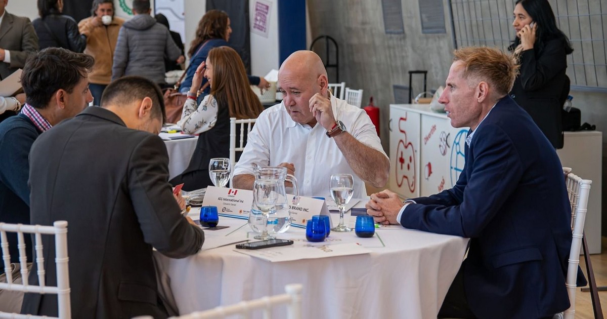 Empresarios internacionales buscan aceite de oliva sanjuanino en ArgOliva
