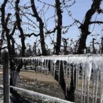 Ministerio de Producción propone reformar ley de emergencia agropecuaria